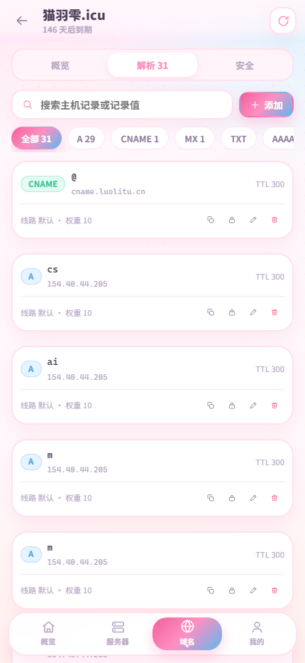 DNS 解析页